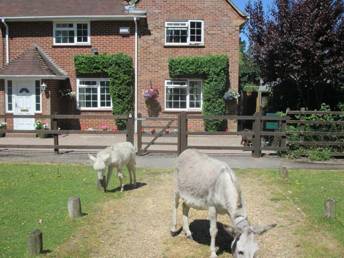 Hops Annex Βίλα Brockenhurst Εξωτερικό φωτογραφία